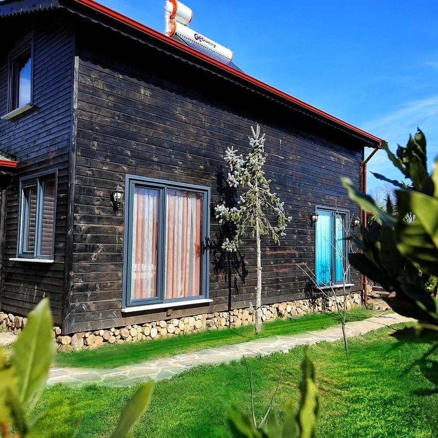 Cinarhan Villas Агва Экстерьер фото